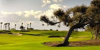 North Palm Beach Country Club Review