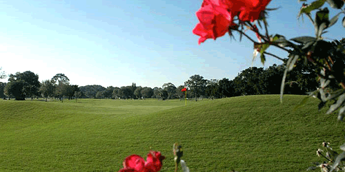 Rockledge Country Club