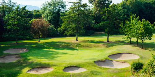 Shandon Park Golf Club