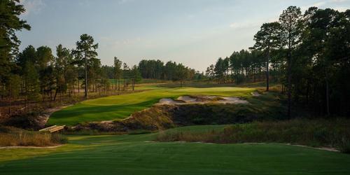  Wild Spring Dunes